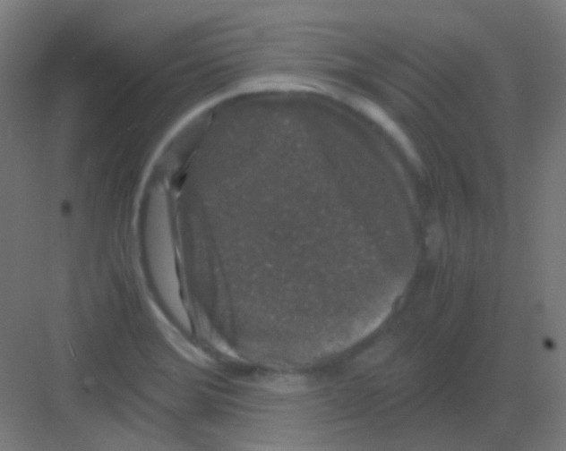 X0000081391372200702090027