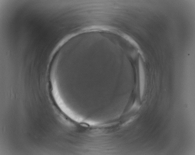 X0000081391373200702090027