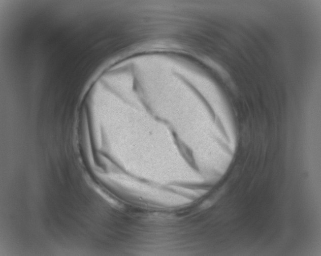 X0000081391374200702090027