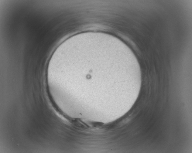 X0000081391375200702090027