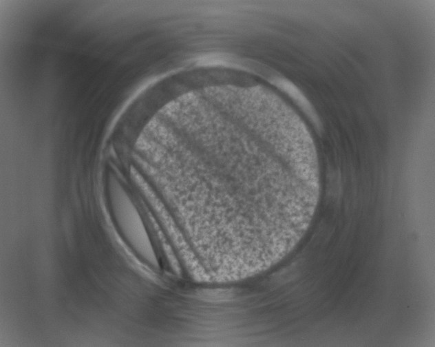 X0000081391376200702090027