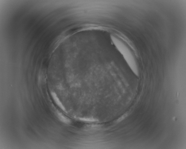 X0000081391377200702090027