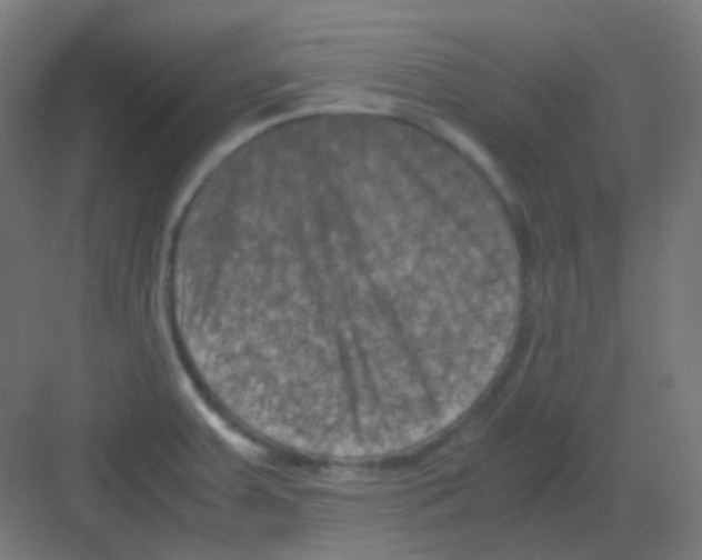 X0000081391379200702090027