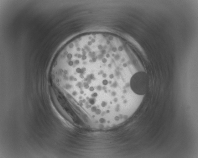 X0000081391380200702090027