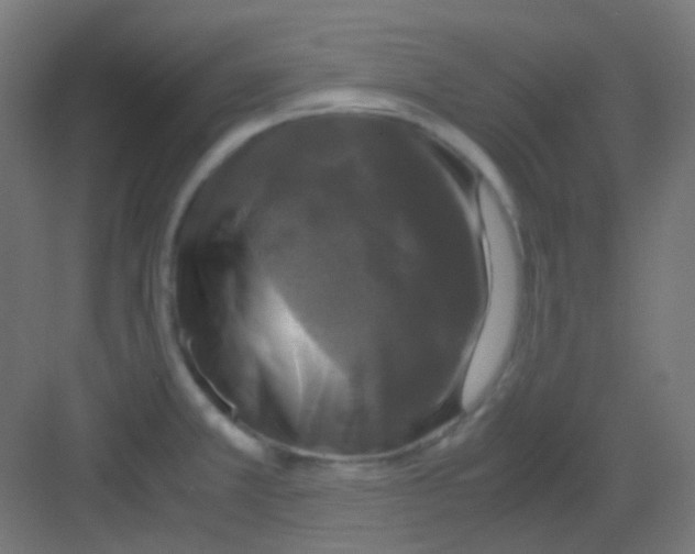 X0000081391381200702090027