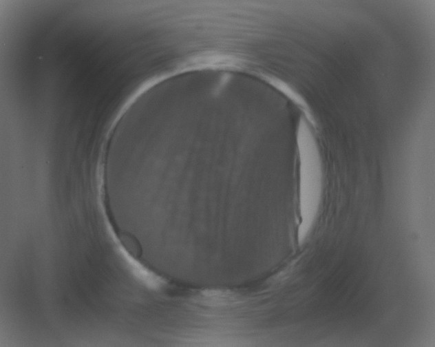 X0000081391383200702090027