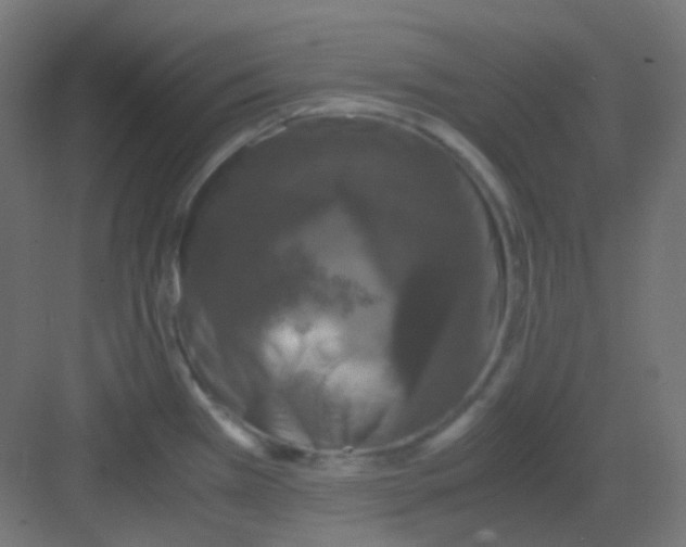 X0000081391385200702090026