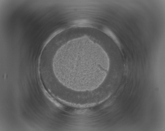 X0000081391386200702090026