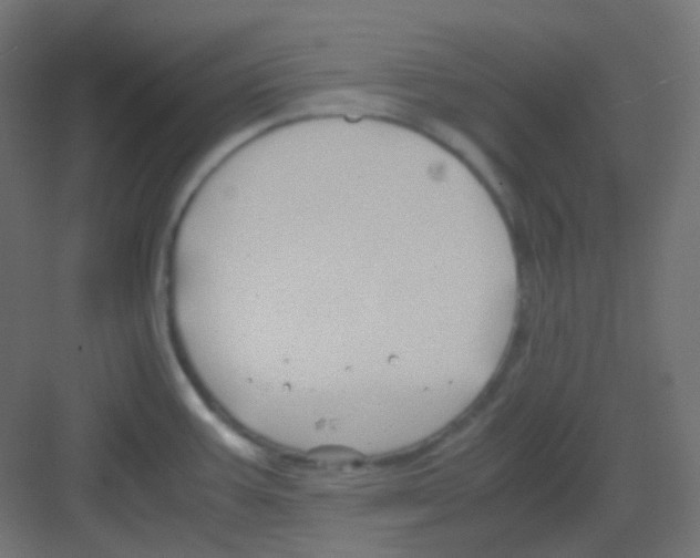 X0000081391387200702090026