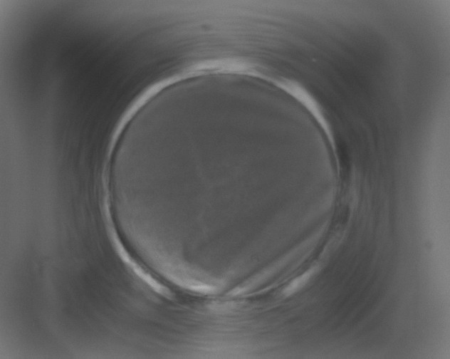 X0000081391389200702090026