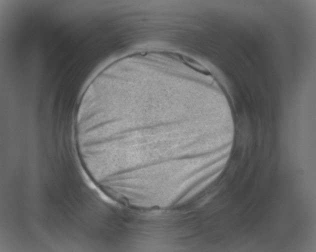 X0000081391390200702090026