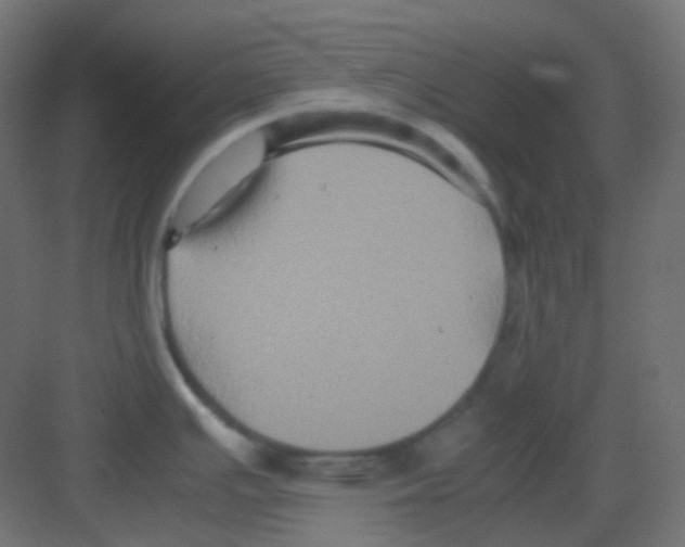 X0000081391391200702090026