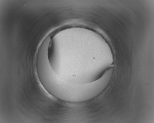 X0000081391392200702090026