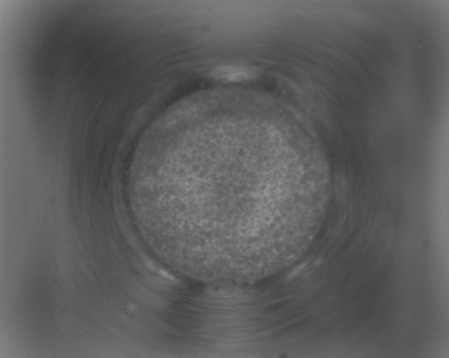 X0000081391393200702090026