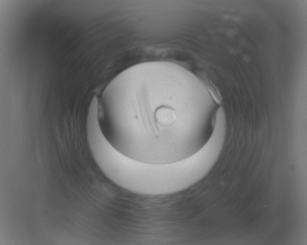 X0000081391394200702090026