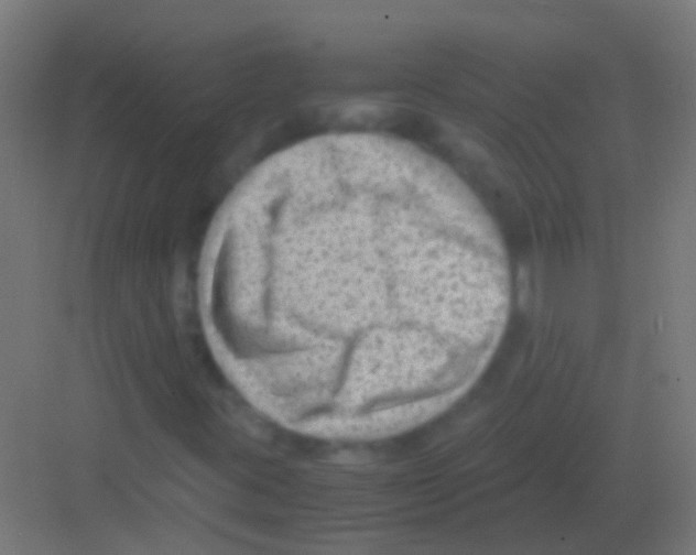 X0000081391395200702090026