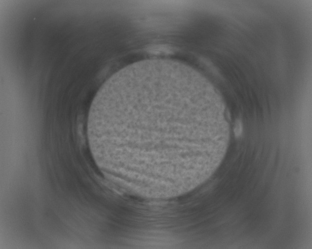 X0000081391396200702090026