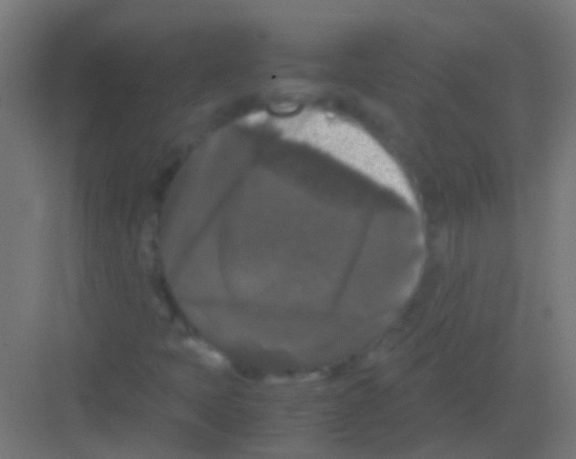 X0000081391397200702090026