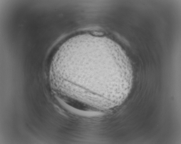 X0000081391400200702090026