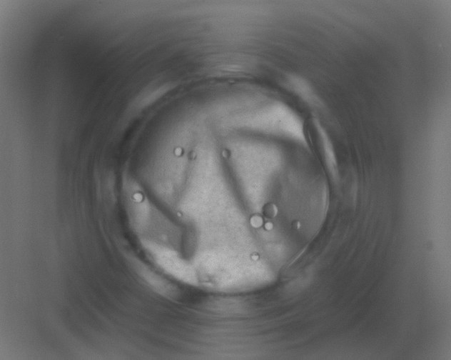 X0000081391402200702090026