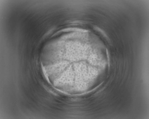 X0000081391403200702090026