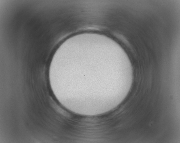 X0000081391404200702090026