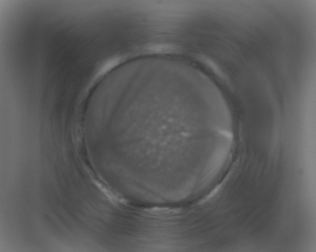 X0000081391405200702090026