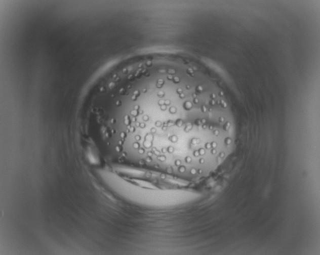 X0000081391406200702090026