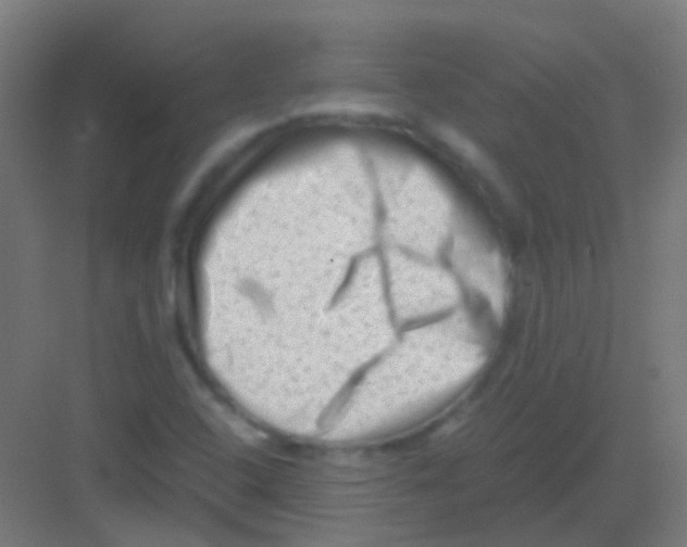 X0000081391408200702090026