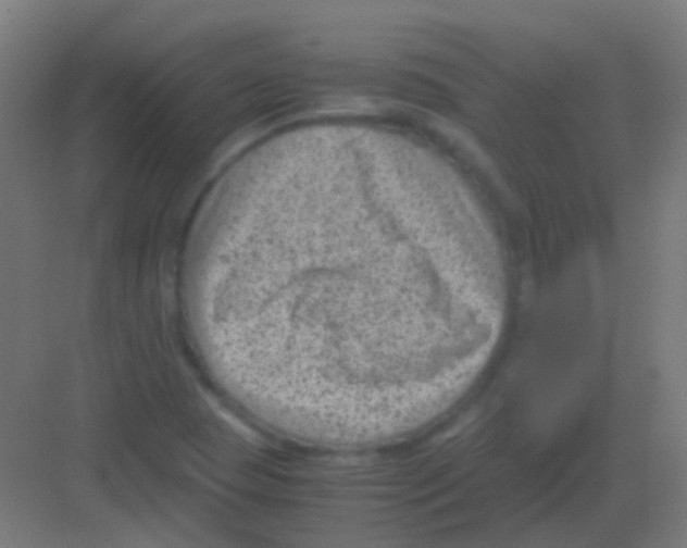 X0000081391409200702090026