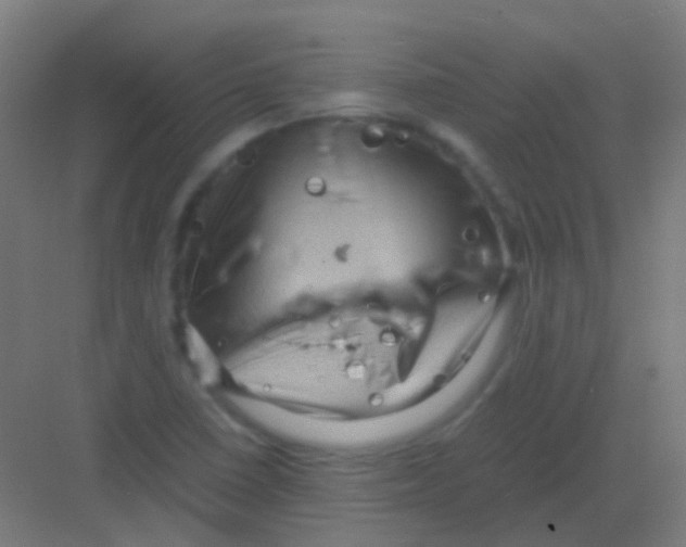 X0000081391410200702090026