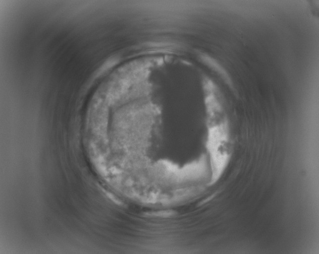 X0000081391411200702090026