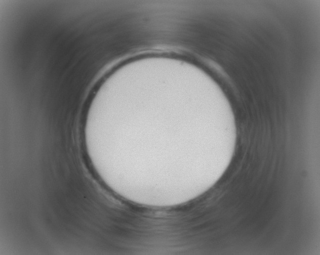 X0000081391412200702090026