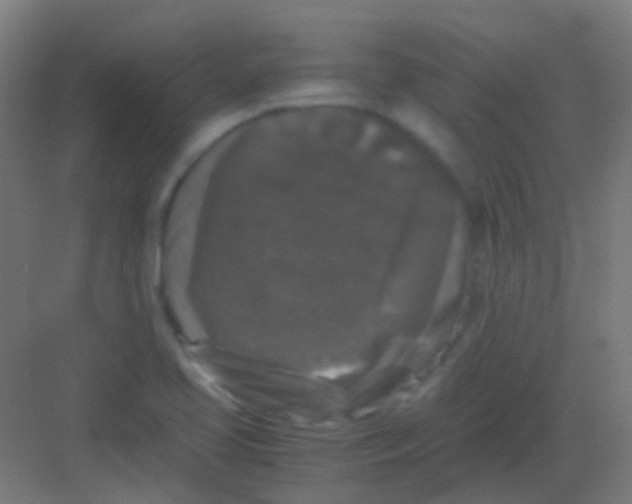 X0000081391413200702090026