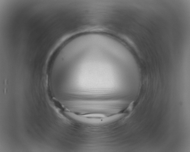 X0000081391414200702090026