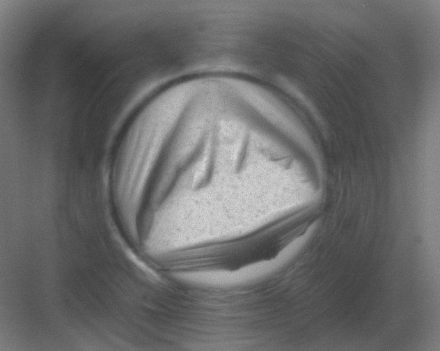 X0000081391416200702090026