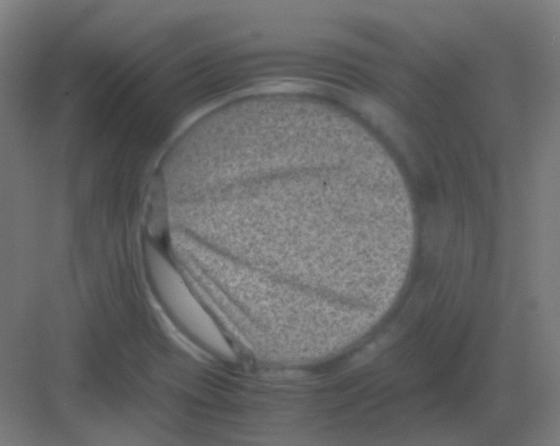 X0000081391417200702090026