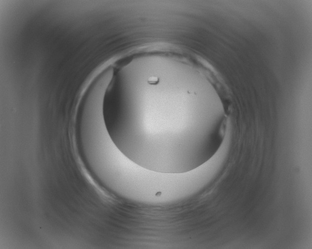 X0000081391418200702090026