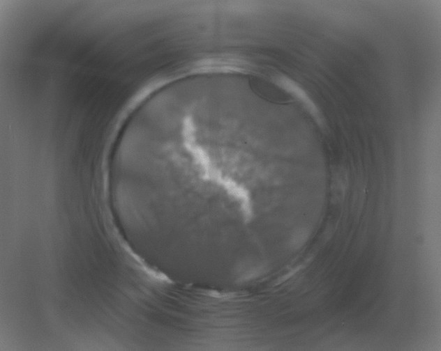 X0000081391419200702090026