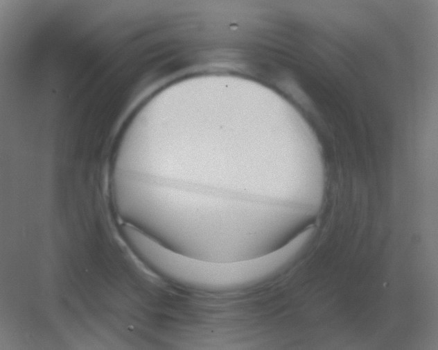 X0000081391420200702090026