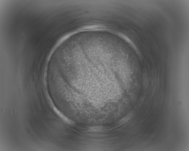 X0000081391421200702090026