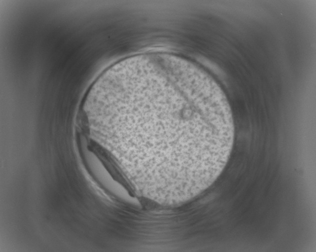 X0000081391423200702090026