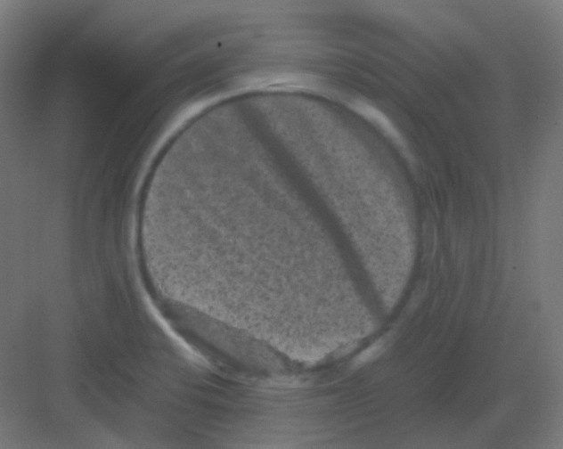 X0000081391424200702090026