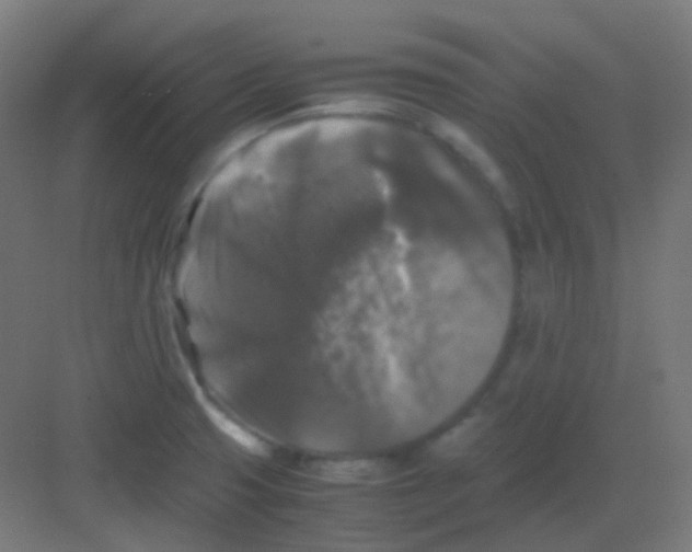 X0000081391425200702090026