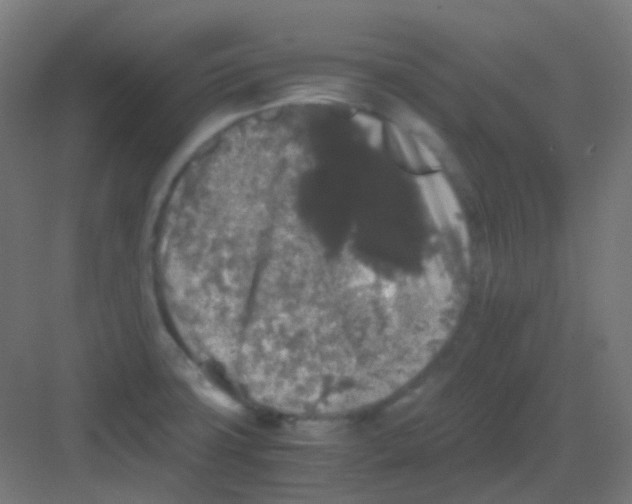 X0000081391427200702090026