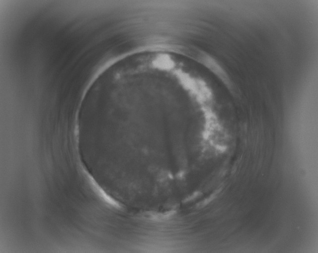 X0000081391428200702090026