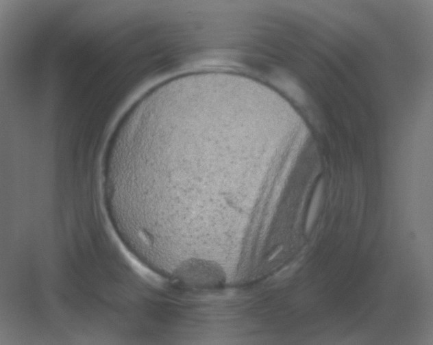 X0000081391430200702090026