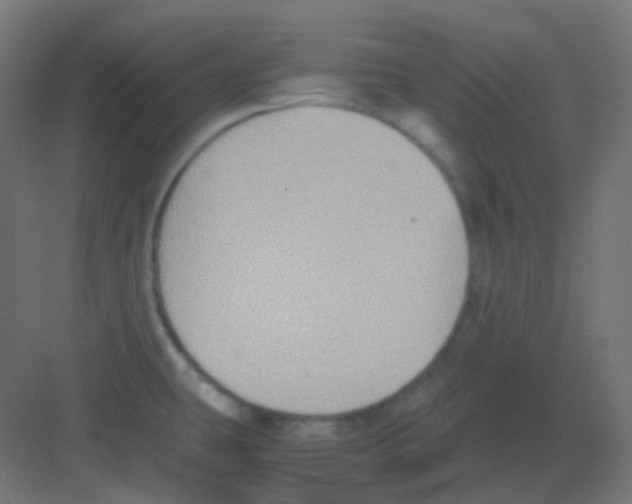 X0000081391431200702090026