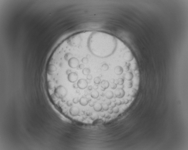 X0000081391432200702090026