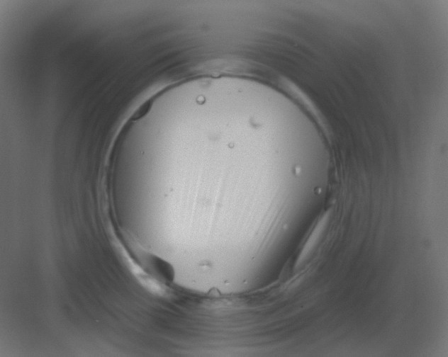 X0000081391434200702090026